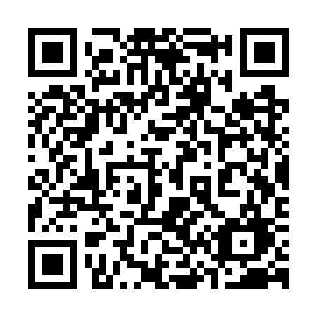 QR code for plate 363 WSG