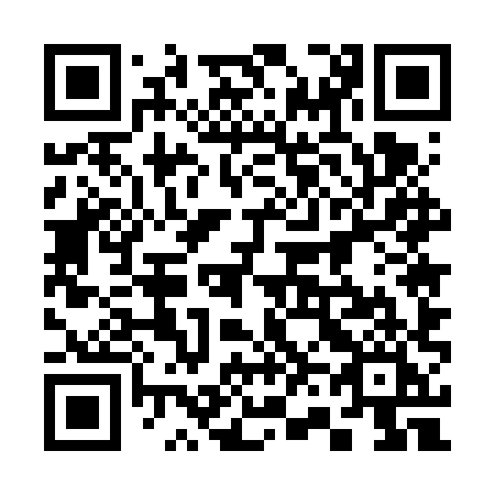 QR code for plate 365 6XI