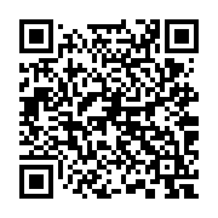 QR code for plate 366 VIZ