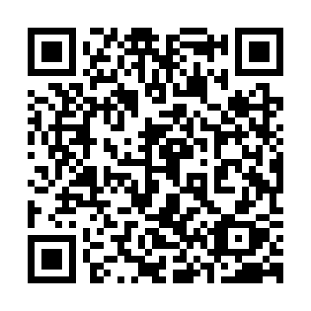 QR code for 368CSX