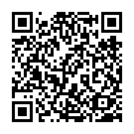 QR code for plate 368 FIY