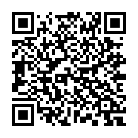 QR code for plate 368 PJF