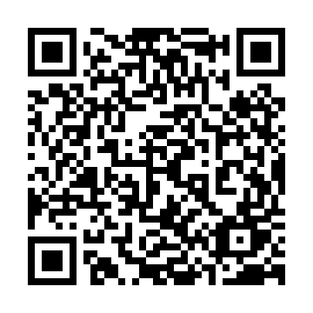 QR code for plate 369 PUT