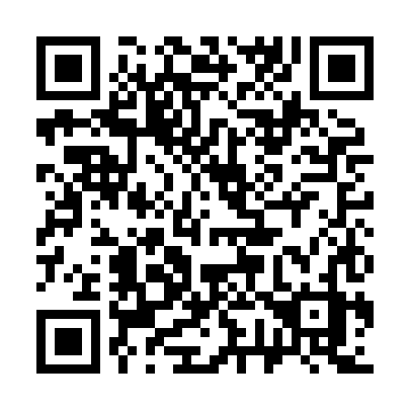 QR code for plate 371 HHZ