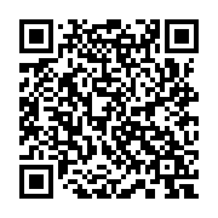 QR code for 373 IZW