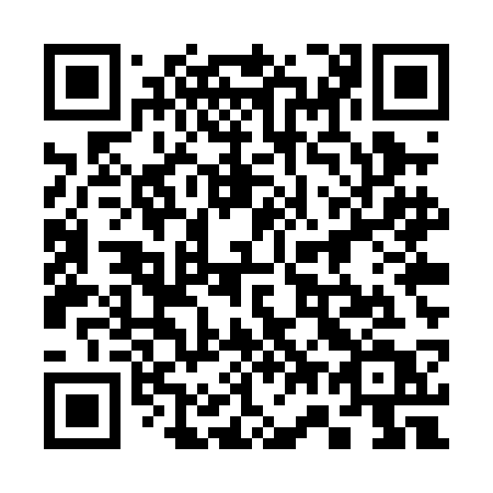 QR code for 375 PCT