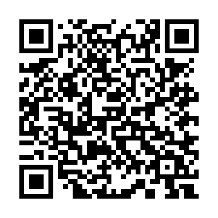 QR code for plate 375 NLT