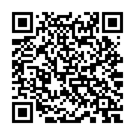 QR code for plate 376 RPA