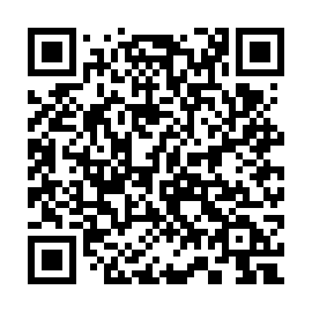 QR code for plate 377 FWD