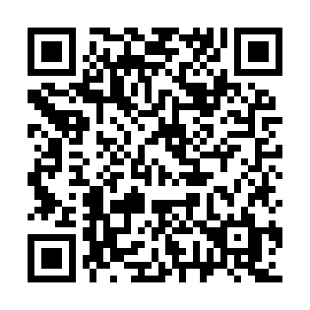 QR code for 379 IZL