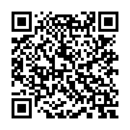 QR code for 379 NEX