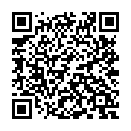 QR code for plate 380 XRV