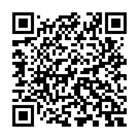 QR code for 381 GZD