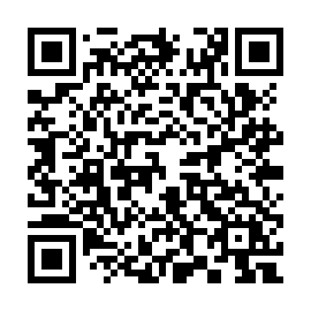 QR code for 381 ZDX
