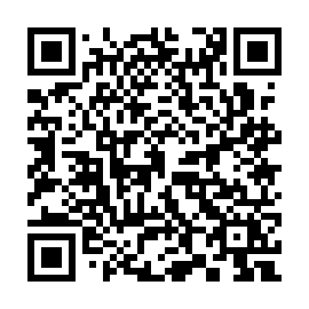 QR code for plate 381 1NX