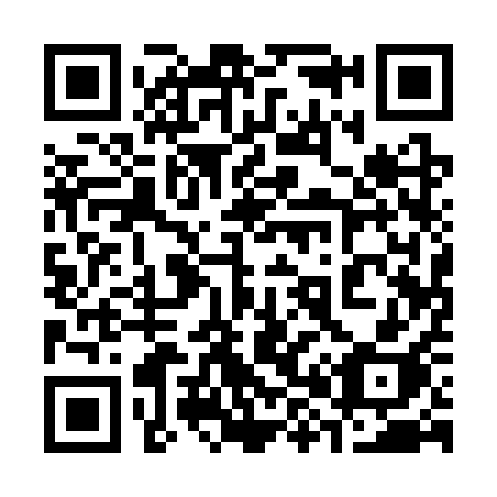 QR code for plate 381 3QH