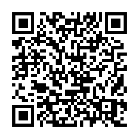 QR code for plate 381 8TS