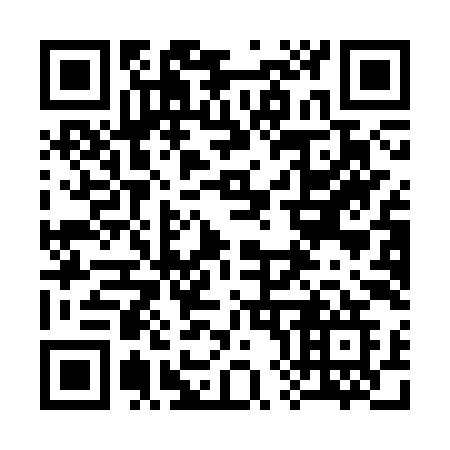 QR code for 381CYG