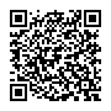 QR code for plate 381 HIU