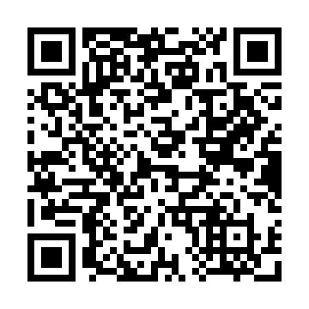QR code for plate 381 SAX