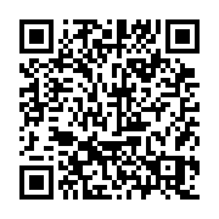 QR code for 381SFS