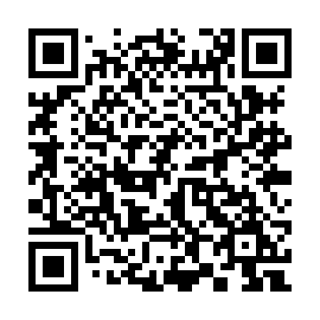 QR code for 381XBM
