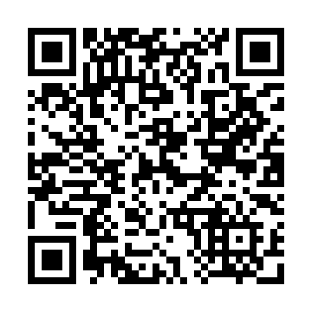 QR code for 382 IIF
