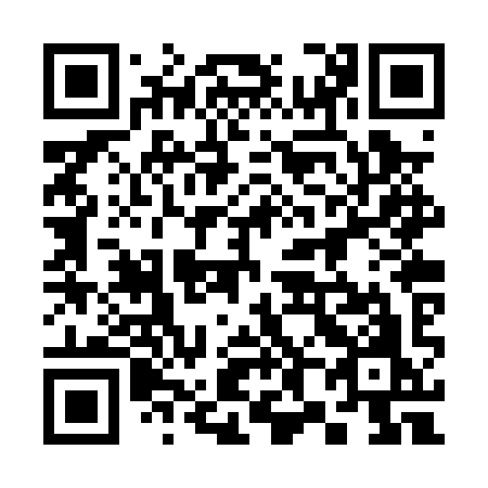 QR code for 382 PYO