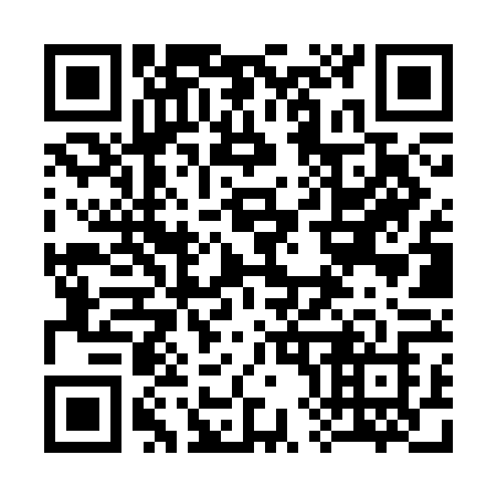 QR code for 382 SFJ