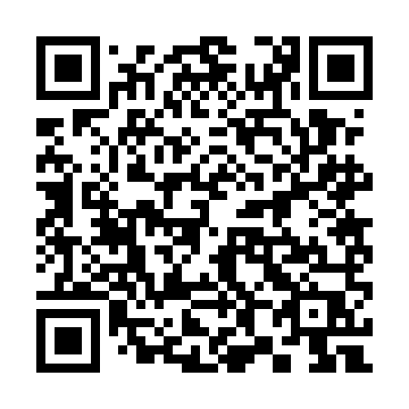 QR code for 3825MP