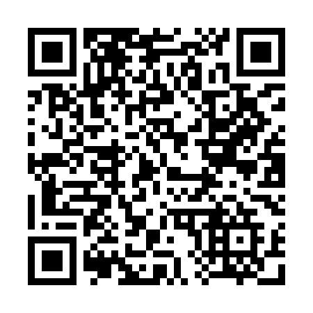 QR code for plate 382 IMG