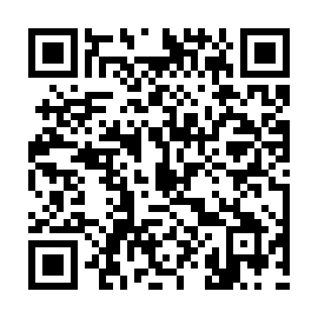QR code for plate 382 SXY