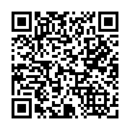 QR code for 383 CAI