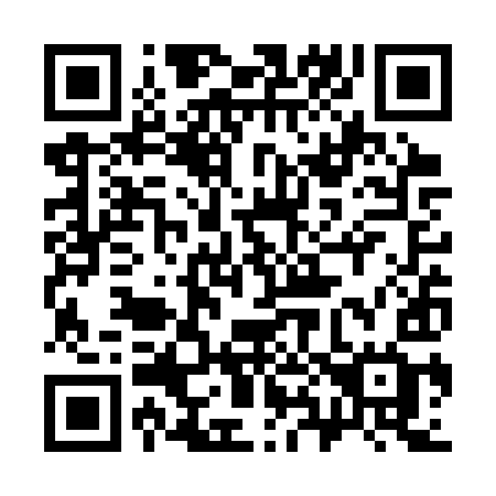 QR code for 383 SYG