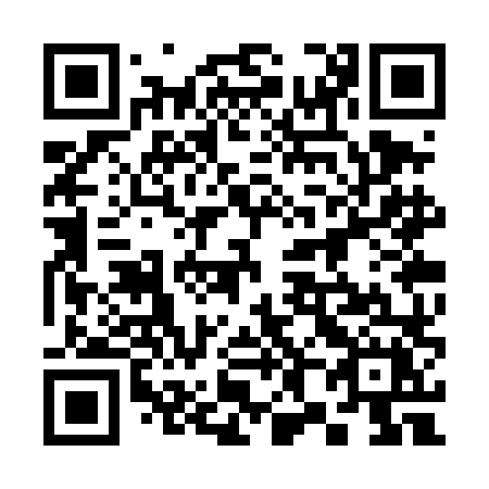 QR code for 383 TLX