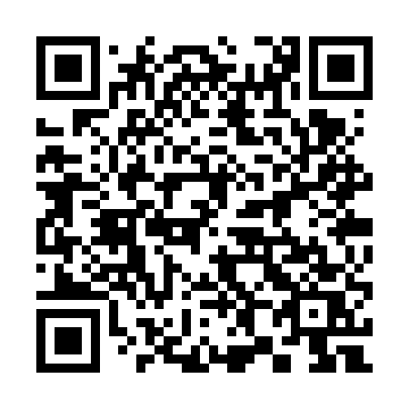 QR code for 383 VUS