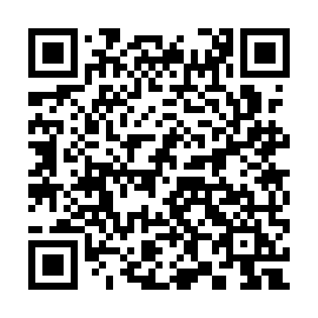 QR code for plate 383 1MI