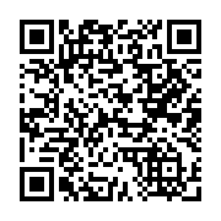 QR code for 3833MY