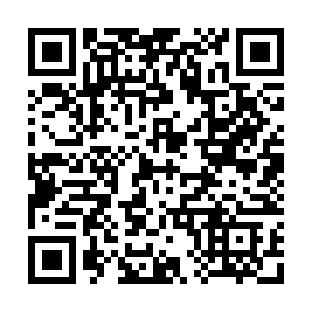 QR code for 3833NC