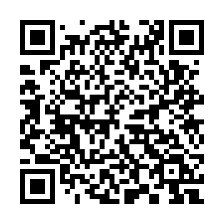 QR code for plate 383 5RL
