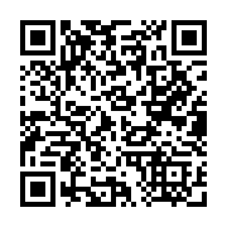 QR code for 383QLC