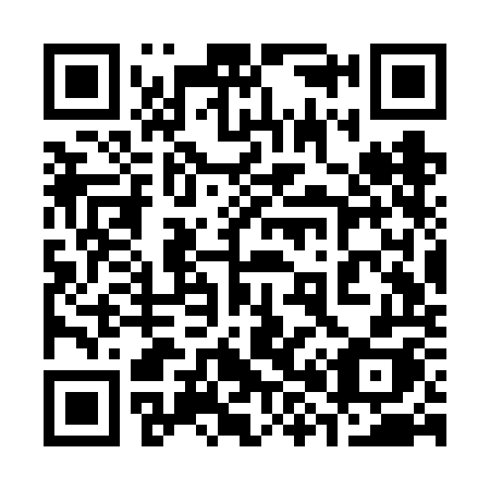 QR code for plate 383 VOH