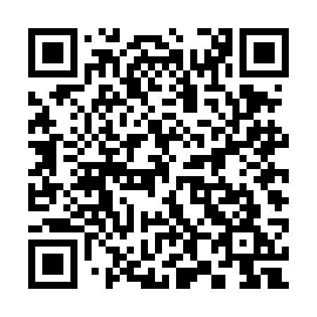 QR code for 384 DCG