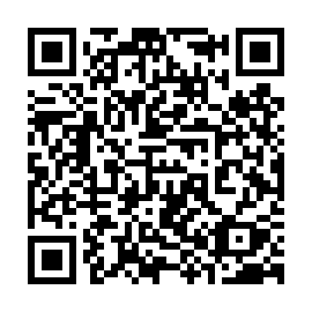 QR code for 384 DSY