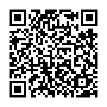 QR code for 384 FST