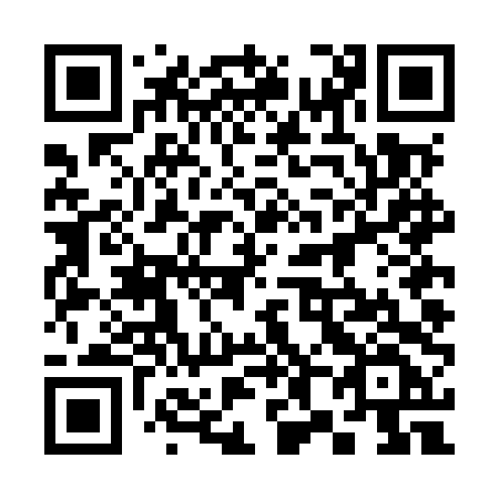 QR code for 384 MTF