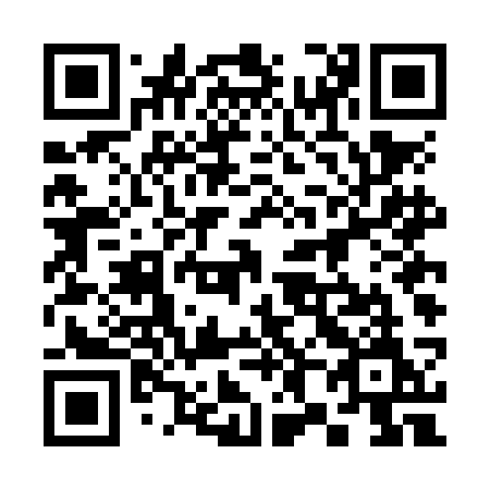 QR code for 384 NCM