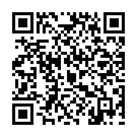 QR code for 384 RAD