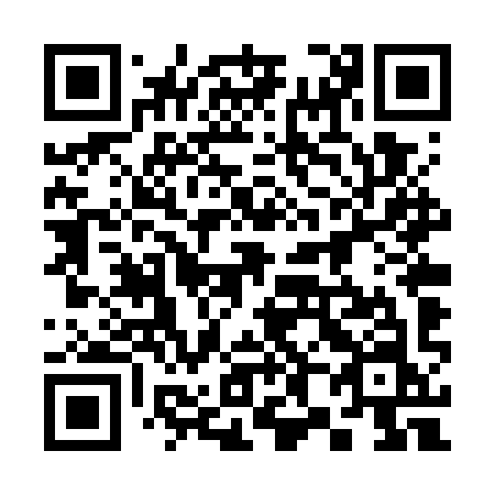 QR code for 384 WYN