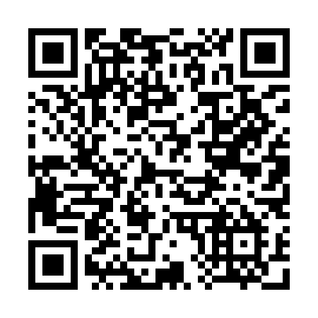 QR code for 3849LM
